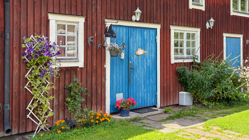 IMG 7427