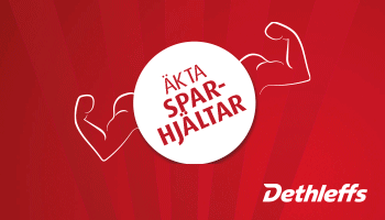 Dethleffs Premium 251111