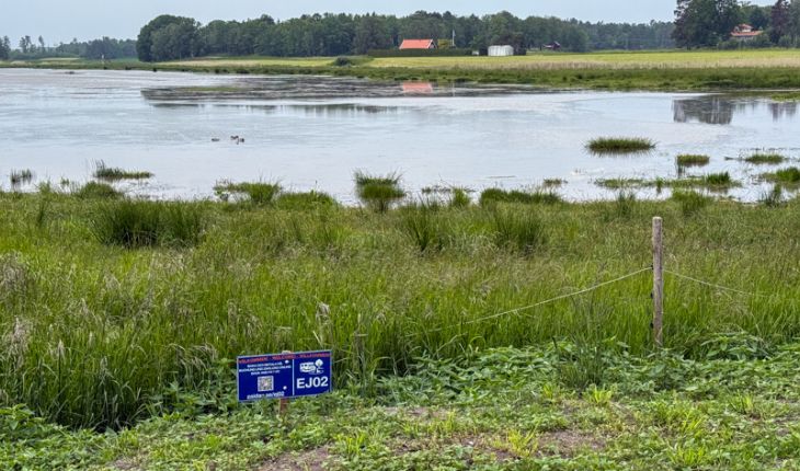 Ny på Kållandsö - Barensjön