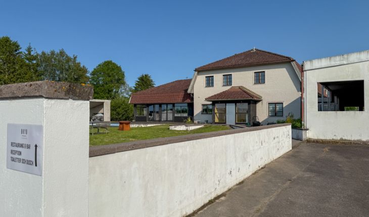 Backyard - Fjorton dagar gammal