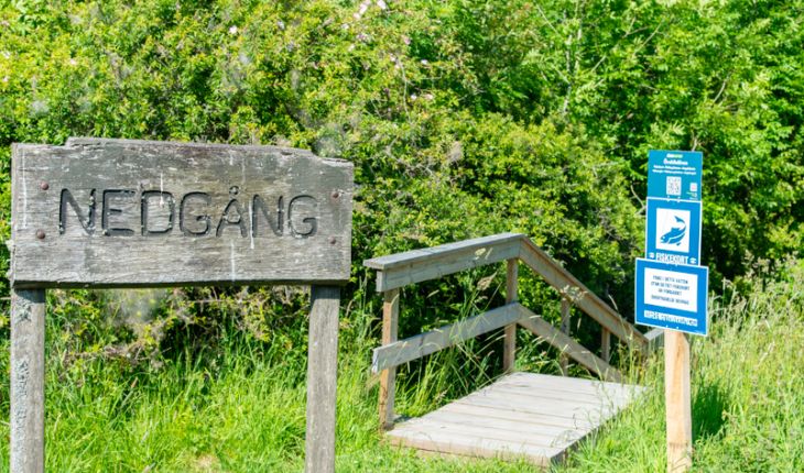 Brålands Gård - Synd å skam!